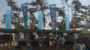 2014年10月26日　第95回 兵庫県畜産共進会　加古川和牛ブース