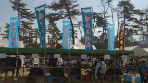 2014年10月26日　第95回 兵庫県畜産共進会　加古川和牛ブース